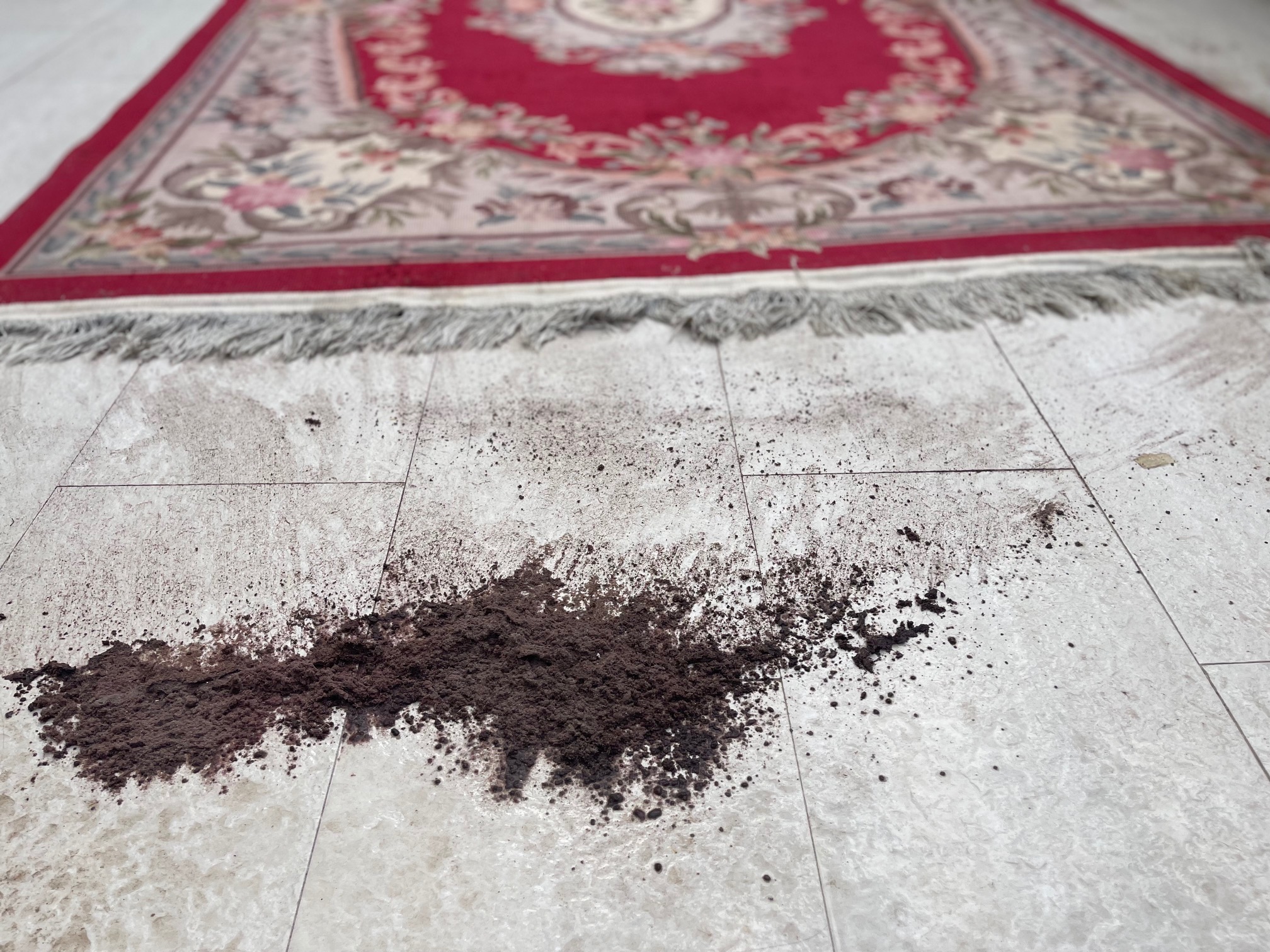 Chinese 90 Line Aubusson Rug Cleaning