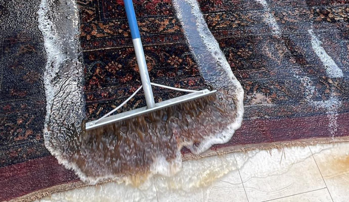  rug cleaning by ashley rug cleaners in homes