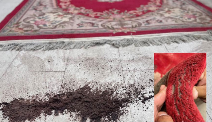 Dirt and debris in the rug