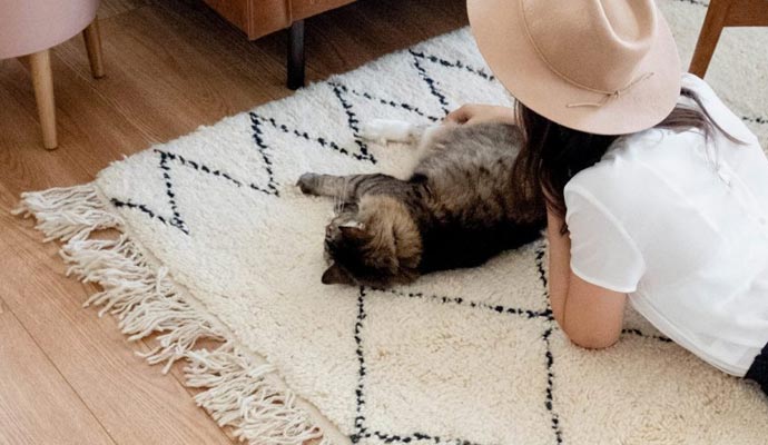 person lying on rug with a pet cat