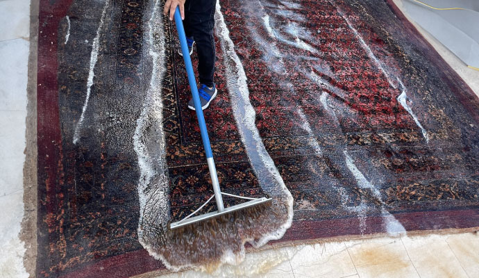 rug cleaning with equipment