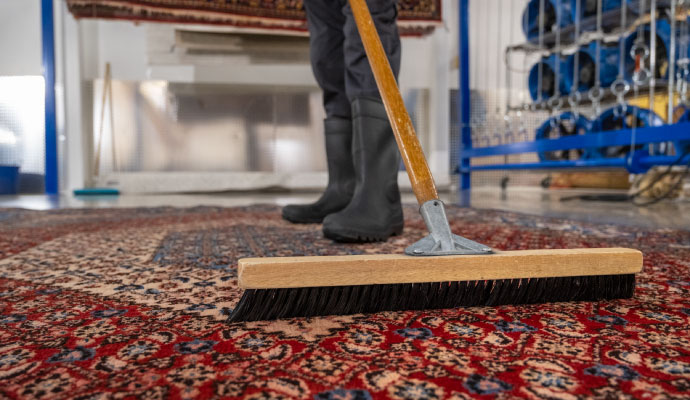 rug grooming with brush