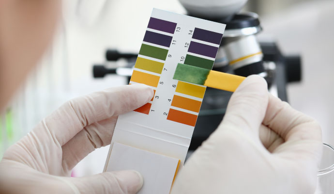 Professional pH testing of rug