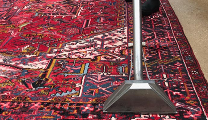 cleaning rug with equipment
