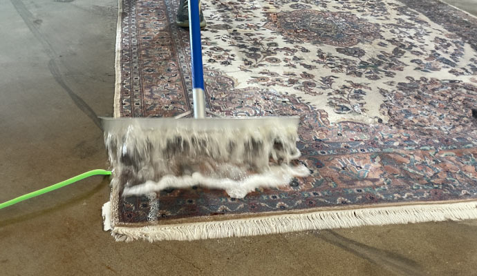 Professional rug cleaning