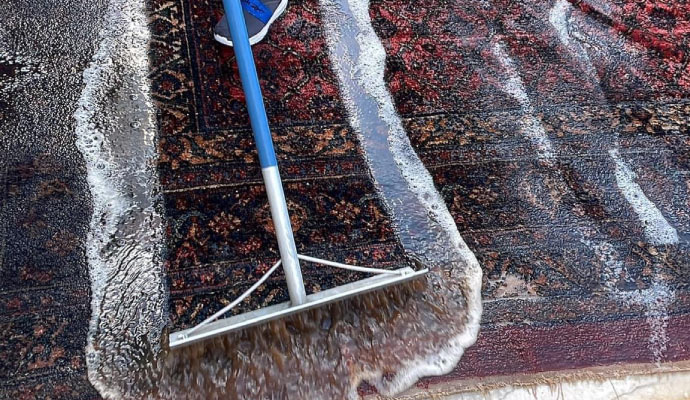 Rug Protector & Stain Repellent in Houston | Ashly Rug Cleaners