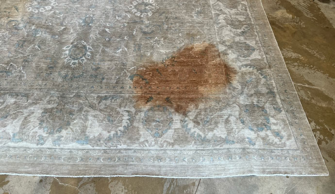 Visible stain on rug