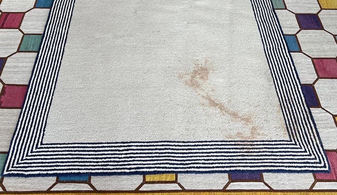 Visible stain on rug