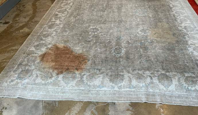 Visible stain on rug